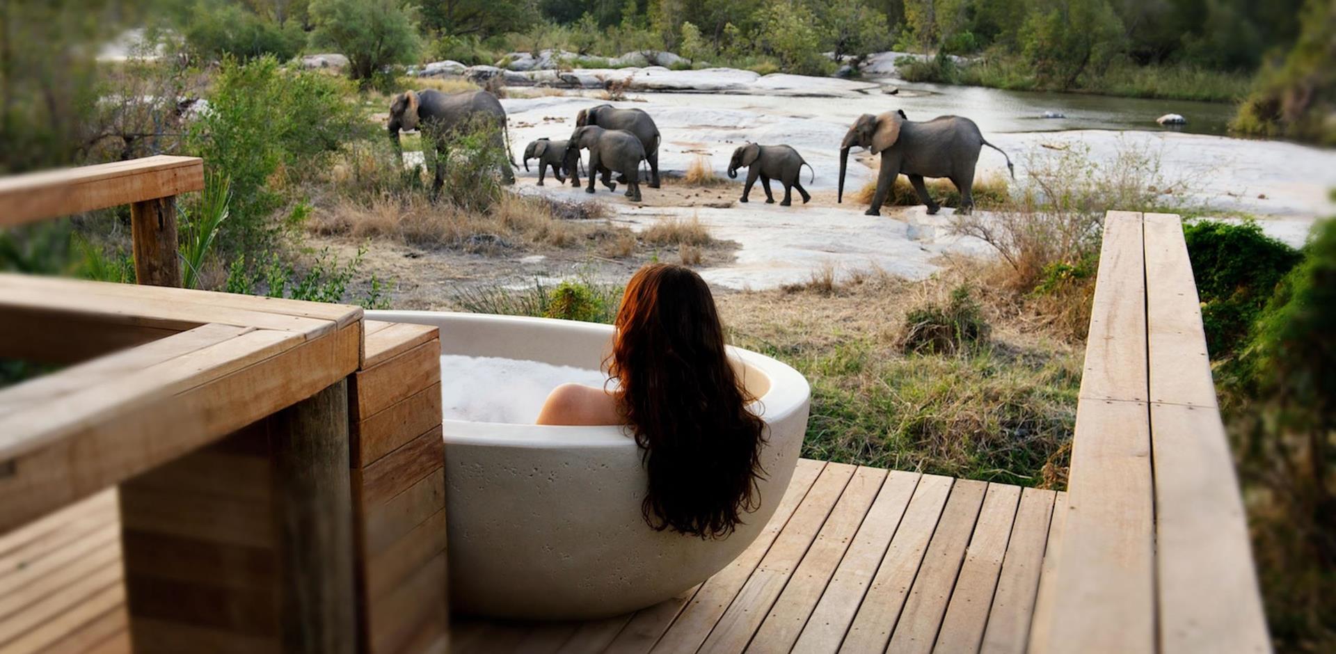 Elephant viewing from bath, Londolozi Private Granite Suites, South Africa, A&K