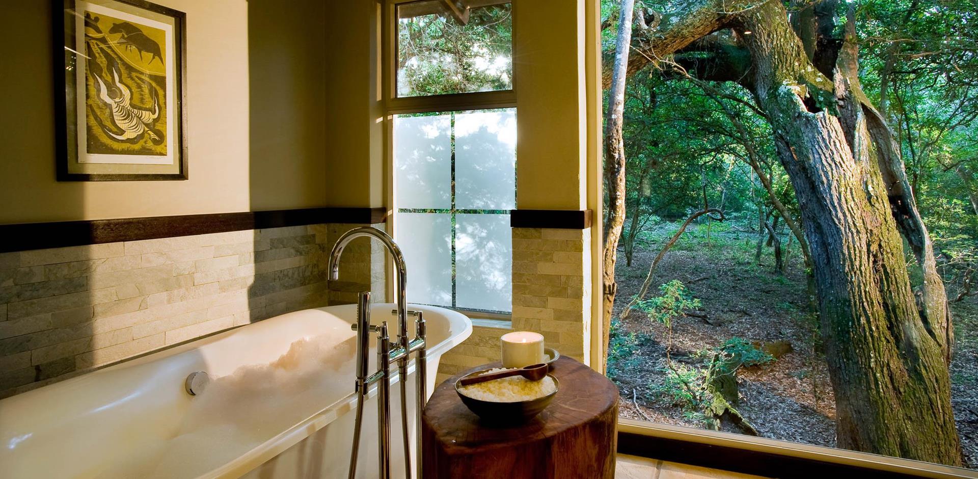Bathroom, andBeyond Phinda Forest Lodge, South Africa, A&K