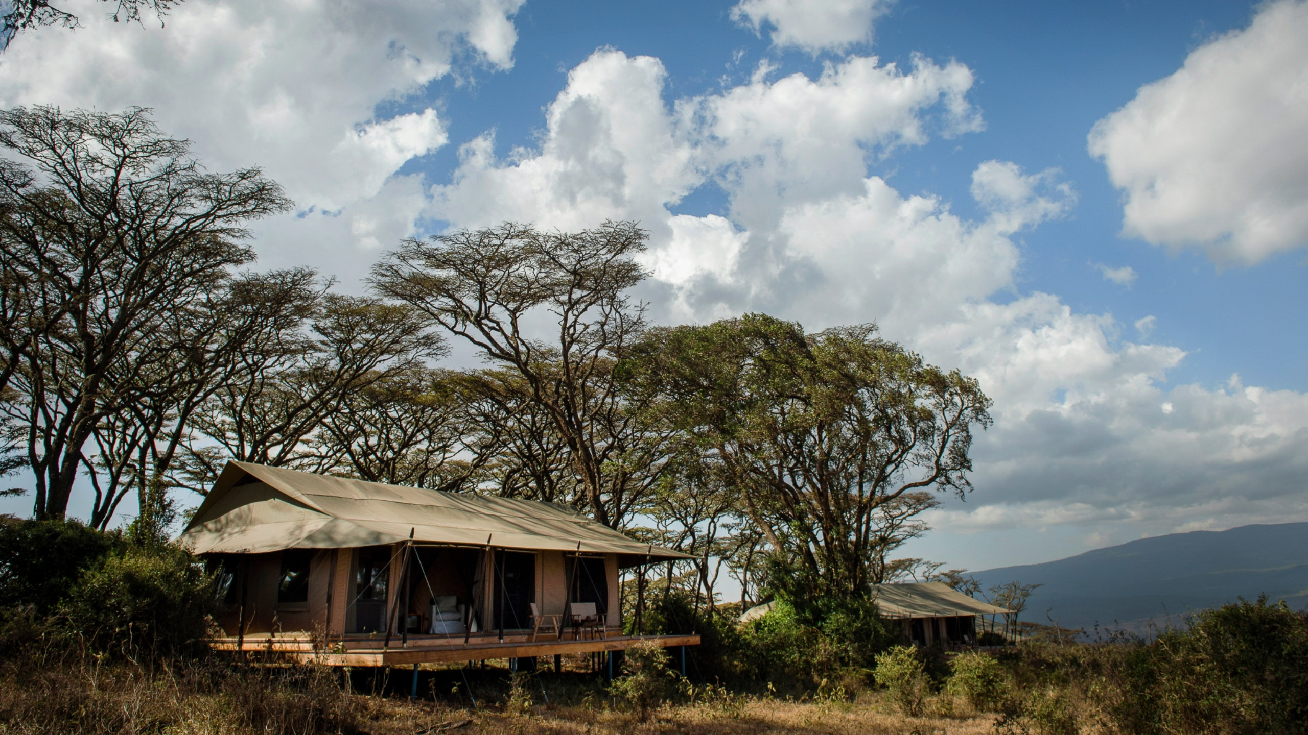 Elewana Tarangire Treetops