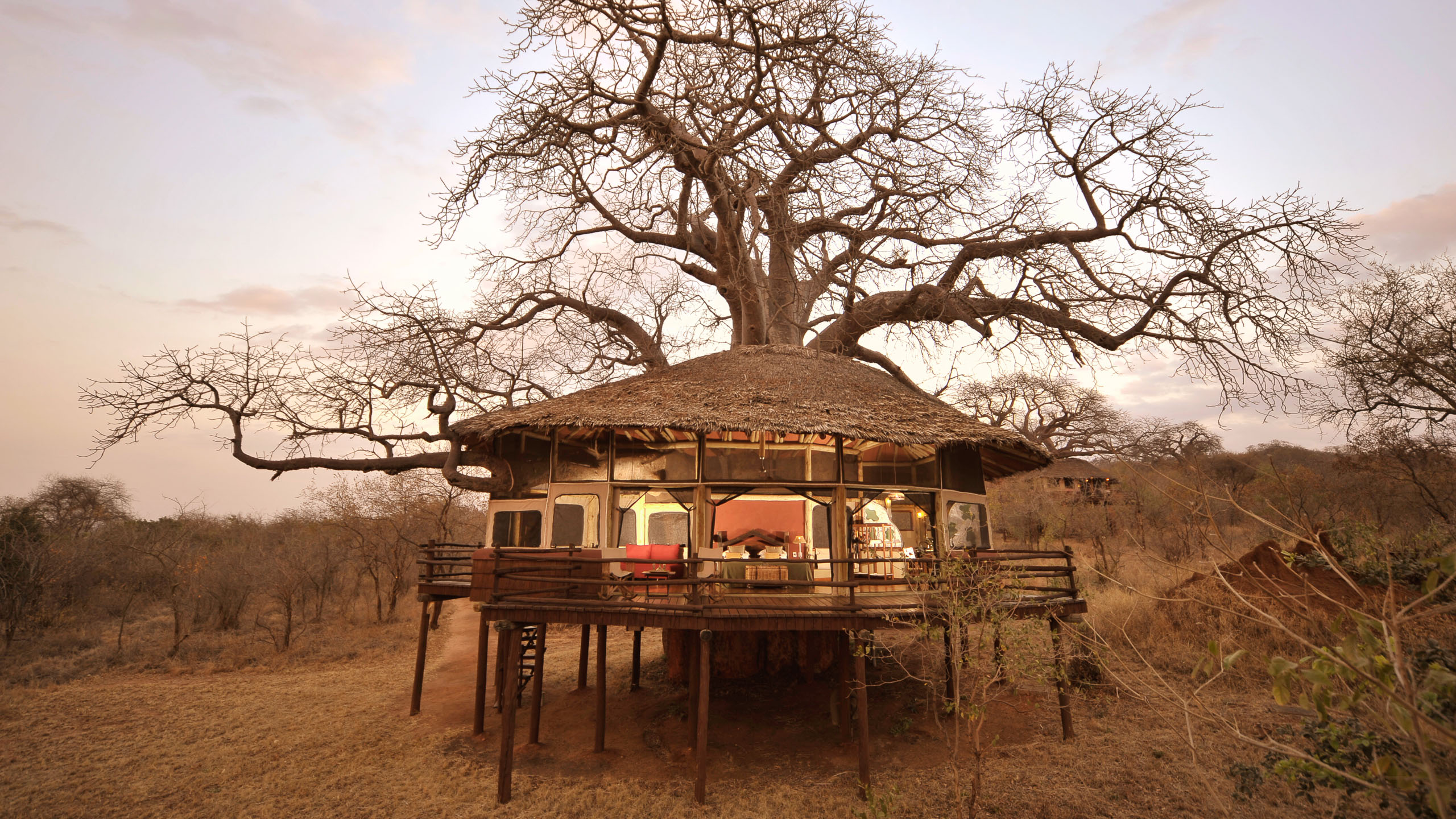 Elewana Tarangire Treetops