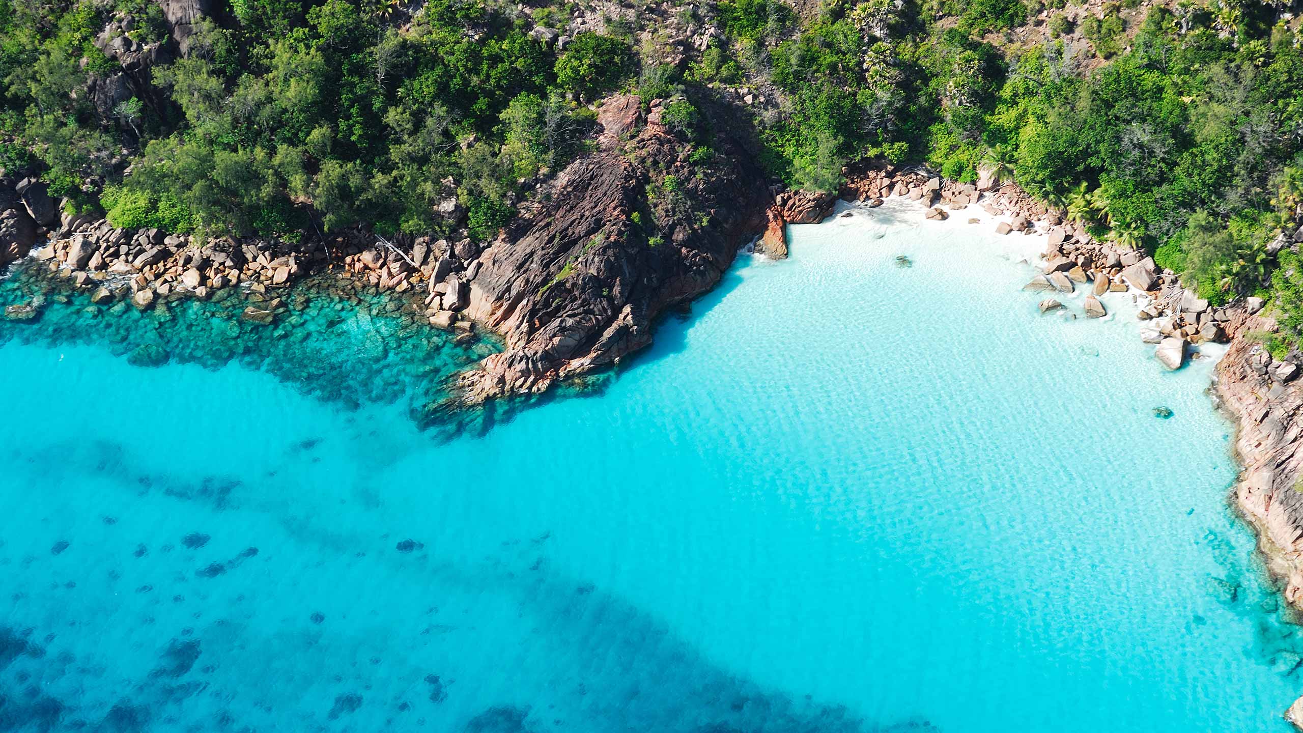 Кюрьез. Остров curieuse. Curieuse Island Seychelles. Кюрьёз Сейшельские острова. Остров курьез Сейшелы.