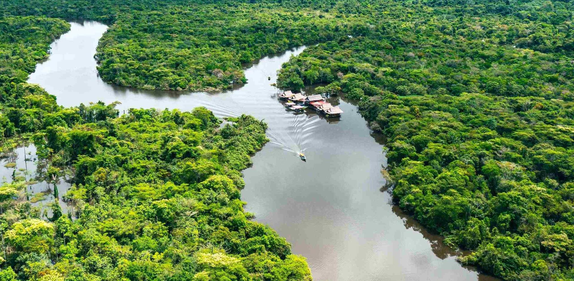 Aerial view of Amazon rainforest in Peru, South America