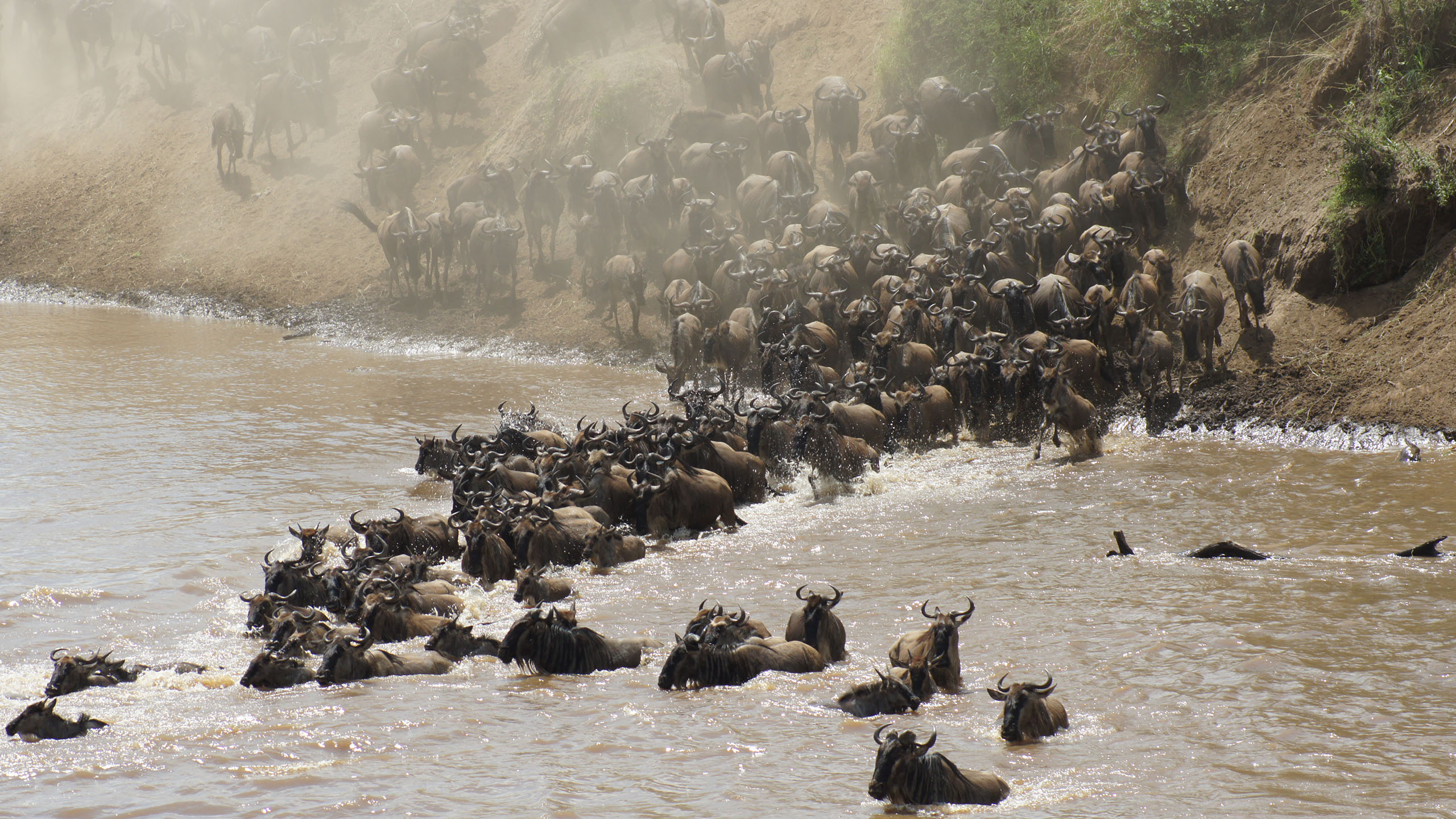 Luxury Masai Mara Safari Holidays Tours 2024 2025 Abercrombie Kent   Masai Mara 0003 Ke016226 