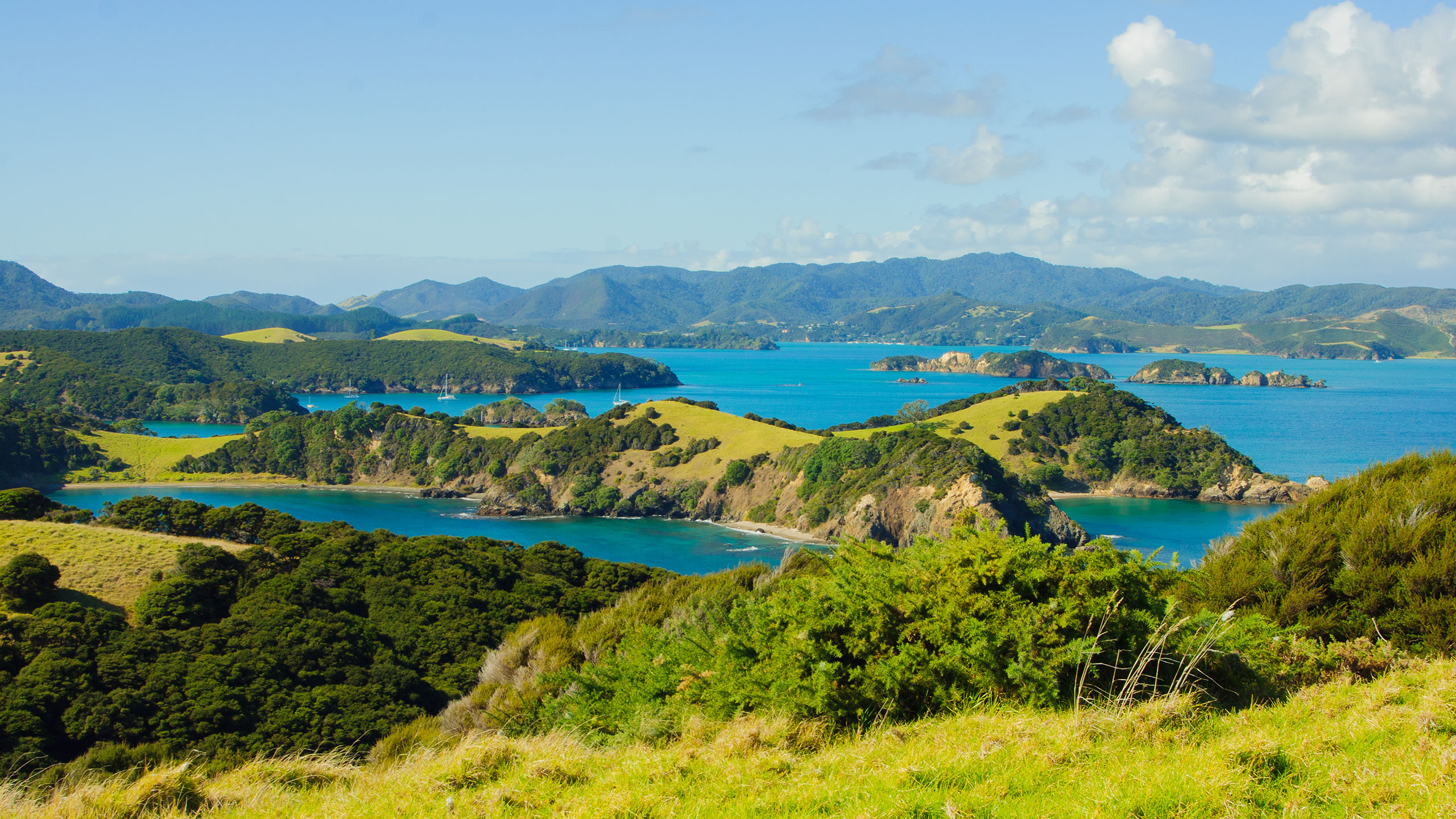 Book Northland holidays & tours 2024/2025 Abercrombie & Kent
