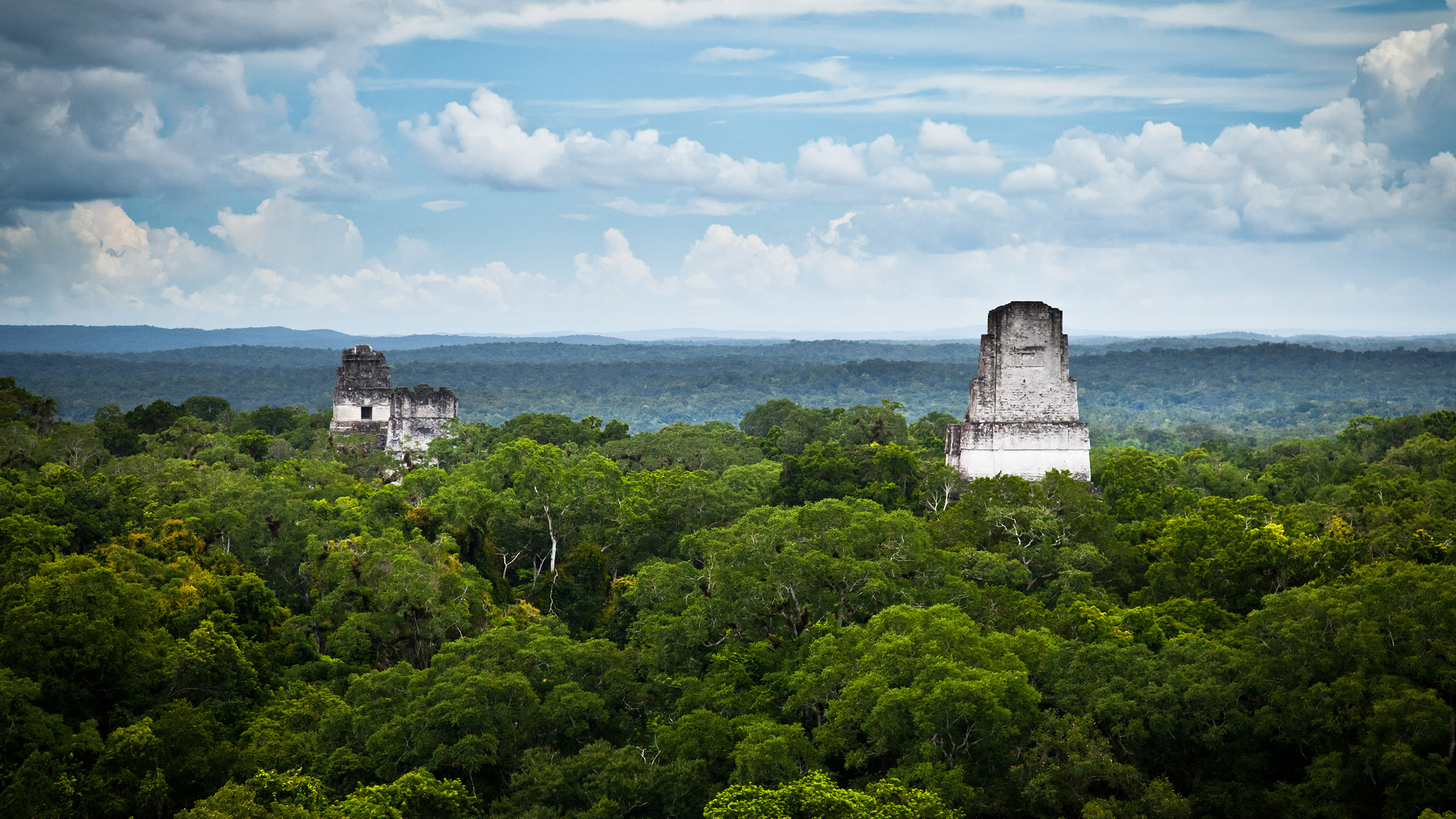 Luxury Guatemala Holidays 2025 2026 Coffee Tours Guatemala   Guatemala 0000 Guatemala Tikal Mayan Temple Ruins 