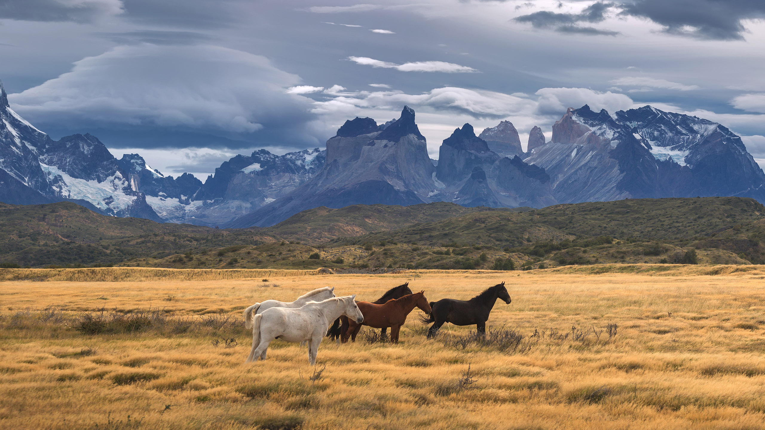 Book Patagonia holidays & tours 2024/2025 | Patagonia trekking