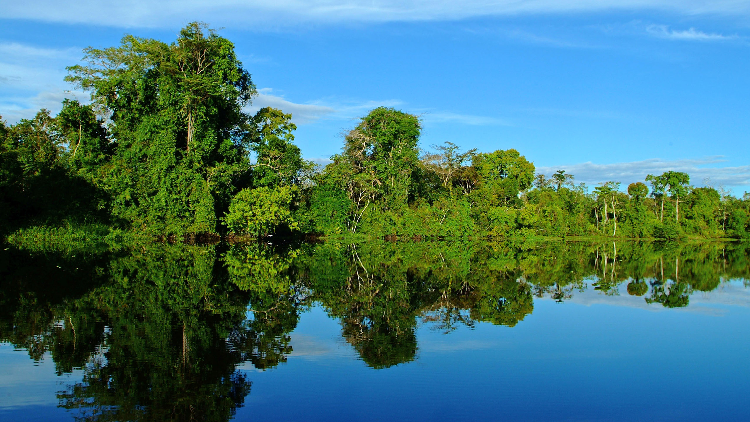 Book Amazonian Cruises Holidays 2024 2025 Peruvian Amazon   Amazon Peru 0003 Pe011913 